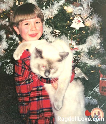 Young Boy with Purebred Ragdoll Cat by Christmas Tree Young Boy with Purebred Ragdoll Cat by Christmas Tree